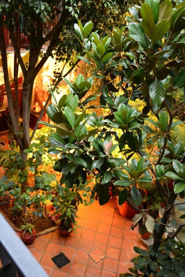 Hotel Casa Guiva Oaxaca Exterior foto